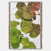 Jeter la couverture (devant Vertical)