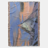 Jeter la couverture - "Le Cervin au coucher du sol (devant Vertical)