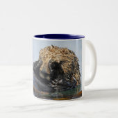 Jeter un coup d'oeil la tasse de loutre de mer (Devant droit)