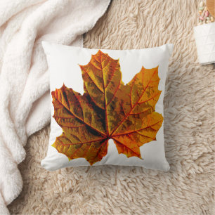 Jetez un oreiller pour chaque chambre