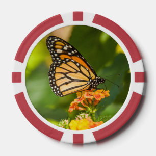 Jeton de poker photo d'un papillon sur une fleur