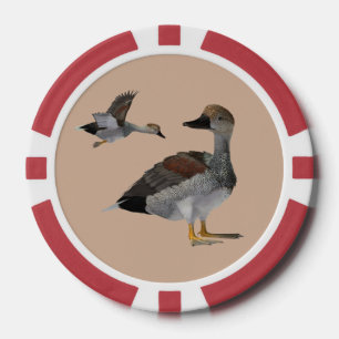 Jetons de poker de canard chipeau
