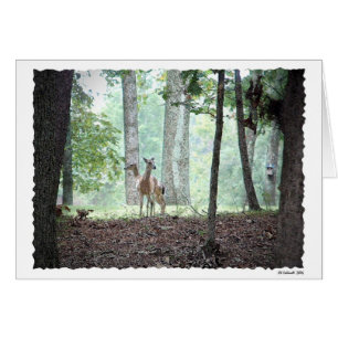 Jeu dans les bois