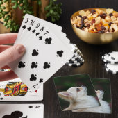 JEU DE CARTES 2 (In Situ)