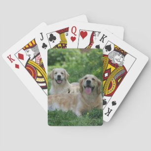 Jeu De Cartes 2 Golden Retrievers couchés dans l'herbe