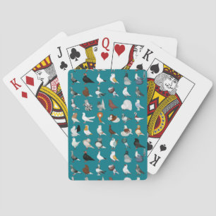 Jeu De Cartes 36 races de pigeons