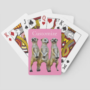 Jeu De Cartes 3 Meerkats debats Thunder_Cove