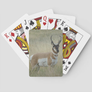 Jeu De Cartes A9 Pronghorn Antelope Big Buck
