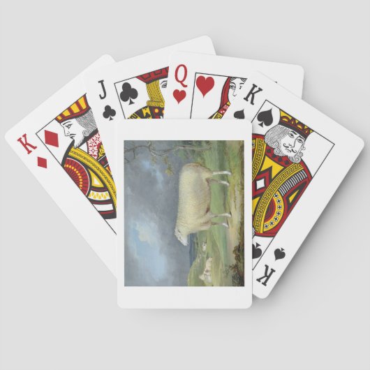 Jeu De Cartes A Border Leicester Ewe (dos)