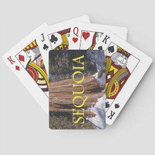 Jeu De Cartes ABH Sequoia