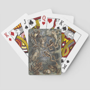 Jeu De Cartes Academia Sombre Impression de grenouille vintage d