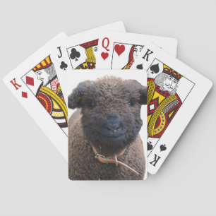 Jeu De Cartes Adorable Babydoll Southdown Sheep