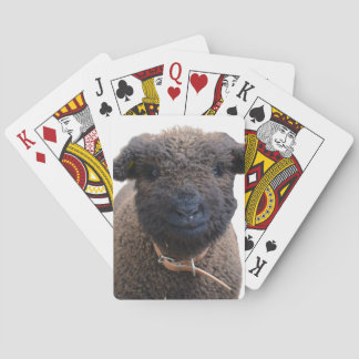 Jeu De Cartes Adorable Babydoll Southdown Sheep