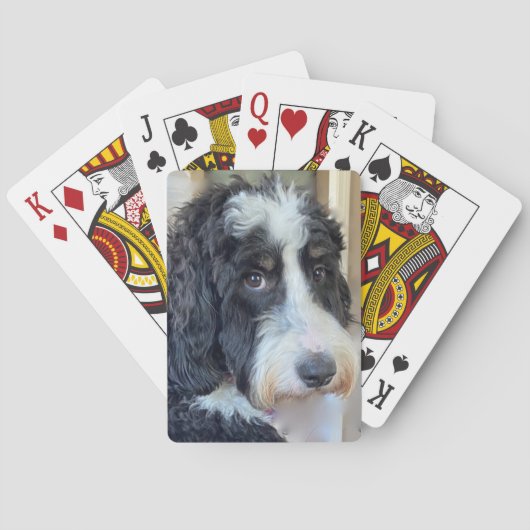 Jeu De Cartes Adorable Bernedoodle (dos)