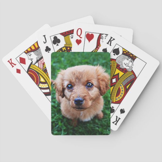 Jeu De Cartes Adorable Puppy on Lawn Photo (dos)