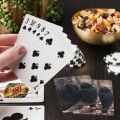 Jeu De Cartes Afrique de l'Est, Tanzanie (In Situ)