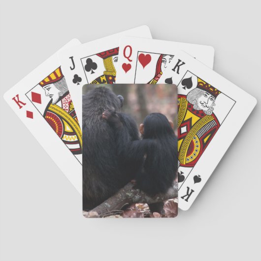 Jeu De Cartes Afrique de l'Est, Tanzanie (dos)