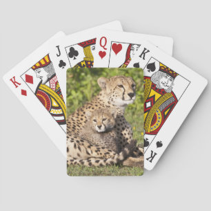 Jeu De Cartes Afrique. Tanzanie. Cheetah mère et petits 2