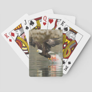 Jeu De Cartes Aigle à tête plate