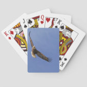 Jeu De Cartes Aigle chauve (dos)