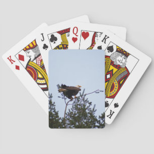 Jeu De Cartes Aigle de Bald