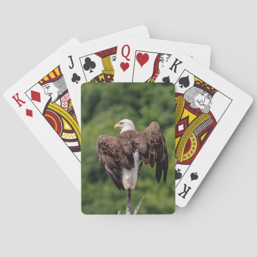 Jeu De Cartes Aigle de Bald sur une branche (dos)