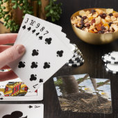 Jeu De Cartes Aigle nicheur (In Situ)