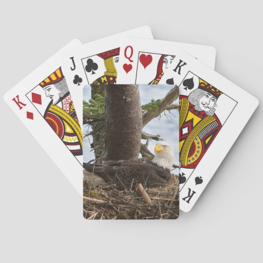 Jeu De Cartes Aigle nicheur (dos)