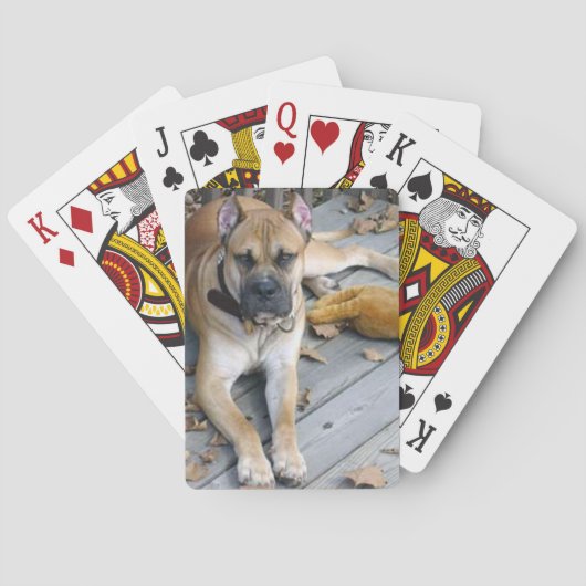 Jeu De Cartes alano espagnol couché (dos)