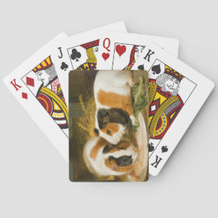 Jeu De Cartes Alimentation de cochons de Guinée animale (par Jam