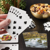 Jeu De Cartes Alley Springs Rapids (In Situ)