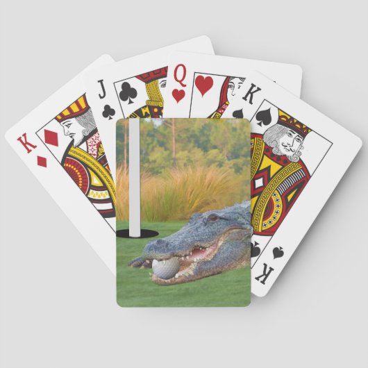 Jeu De Cartes Alligator, mensonge dangereux dans le golf (dos)