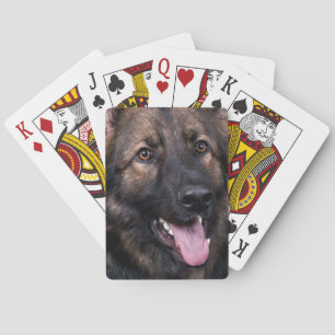 Jeu De Cartes Alsacien de chien de berger d'Allemand de cartes