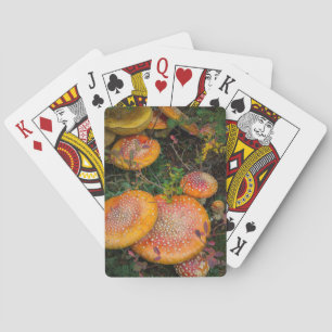 Jeu De Cartes Amanites tue-mouches au lac Mowich