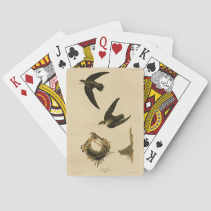 Jeu De Cartes American (Chimney) Swift Audubon, Birds of America