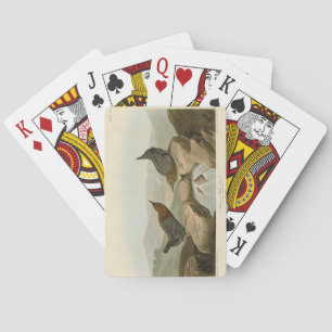 Jeu De Cartes American Water Ouzel - Audubon's Birds of America