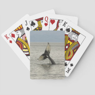 Jeu De Cartes Amérique du Nord, États-Unis, AK, Passage Intérieu