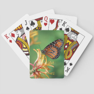 Jeu De Cartes Amérique du Nord, États-Unis, WA, Seattle, Woodlan
