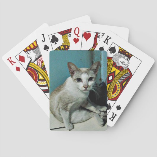 Jeu De Cartes Amie de chats siamois (dos)