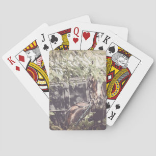 Jeu De Cartes amish Waiting Horse