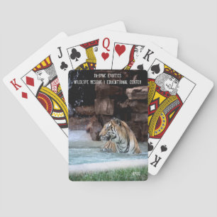Jeu De Cartes Amol -
