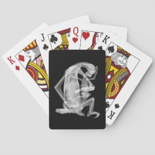 Jeu De Cartes Amour de rayon X de paresse