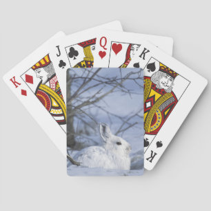 Jeu De Cartes AN, États-Unis, Alaska. Réserve faunique nationale
