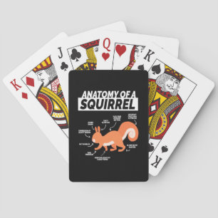 Jeu De Cartes Anatomie D'Un Écureuil
