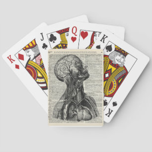 Jeu De Cartes Anatomie humaine Médicale