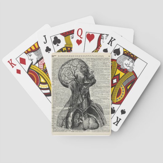Jeu De Cartes Anatomie humaine Médicale (dos)