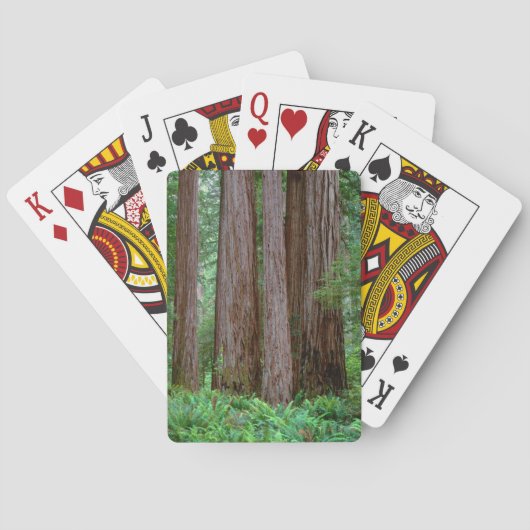 Jeu De Cartes Anciens Séquoias Géants (dos)