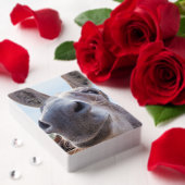 Jeu De Cartes Âne gris souriant comique (Insitu (Valentin))