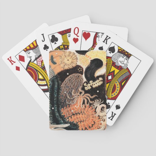 Jeu De Cartes Anémones de la barrière (dos)