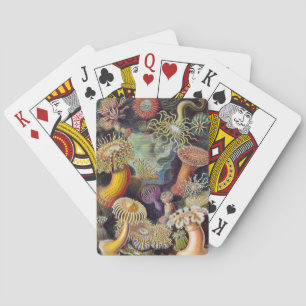 Jeu De Cartes Anémones de mer vintage par Ernst Haeckel